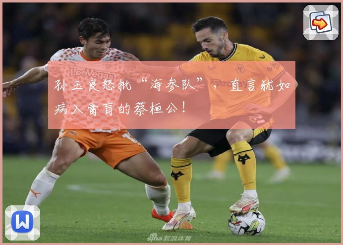 孙玉良怒批“海参队”，直言犹如病入膏肓的蔡桓公！