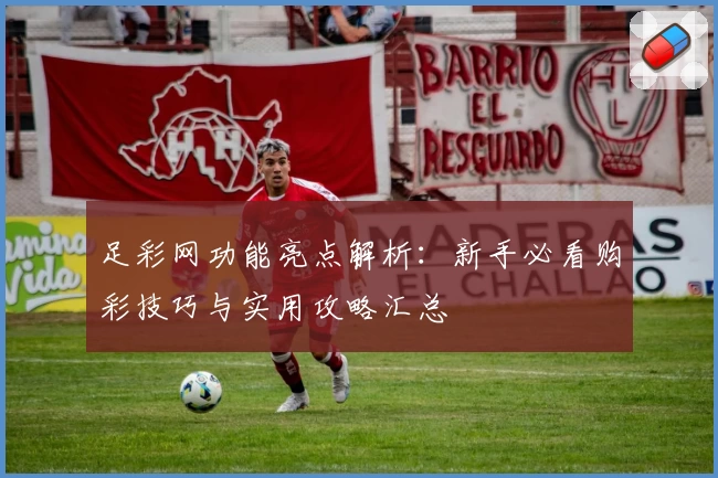 足彩网功能亮点解析：新手必看购彩技巧与实用攻略汇总