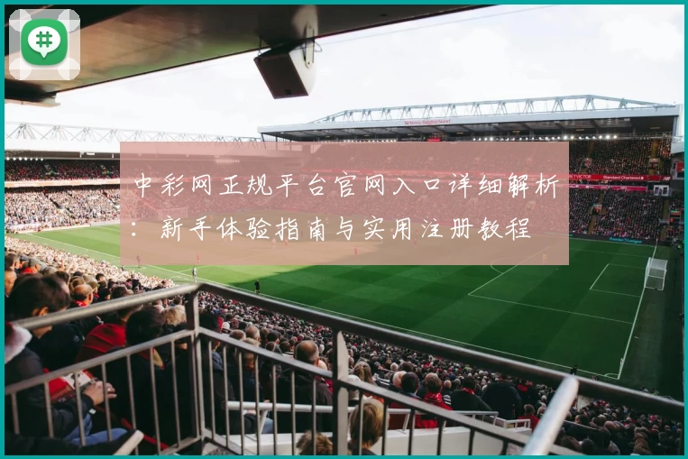 中彩网正规平台官网入口详细解析：新手体验指南与实用注册教程