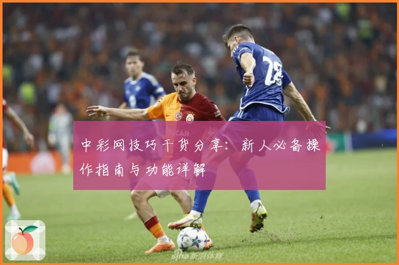 中彩网技巧干货分享：新人必备操作指南与功能详解