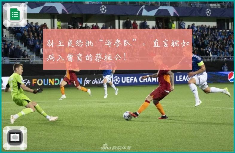 孙玉良怒批“海参队”，直言犹如病入膏肓的蔡桓公！
