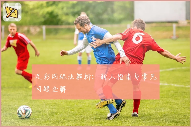 足彩网玩法解析：新人指南与常见问题全解