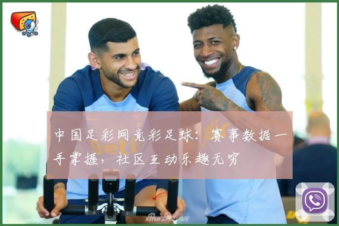 中国足彩网竞彩足球：赛事数据一手掌握，社区互动乐趣无穷