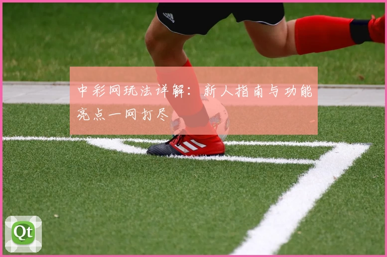 中彩网玩法详解：新人指南与功能亮点一网打尽