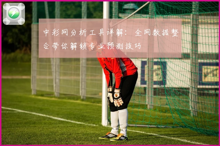 中彩网分析工具详解：全网数据整合带你解锁专业预测技巧